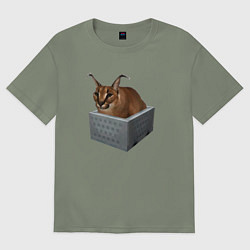 Футболка оверсайз женская Кот блоггер Шлепа, цвет: авокадо