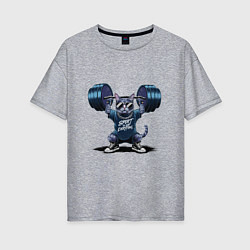 Футболка оверсайз женская Кот со штангой, цвет: меланж