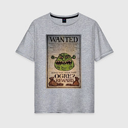 Футболка оверсайз женская Разыскивается огр, цвет: меланж