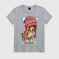 Футболка хлопковая женская Чихуахуа в шапочке, цвет: меланж