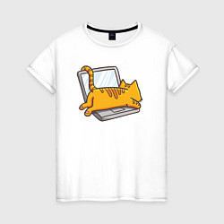 Женская футболка Котик лежит на ноутбуке