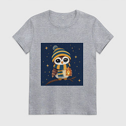 Футболка хлопковая женская Сова в шапке и шарфе с фонарём, цвет: меланж