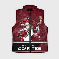 Женский жилет Arizona Coyotes, цвет: 3D-светло-серый