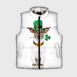 Женский жилет Ирландия, цвет: 3D-красный