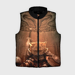 Женский жилет Довакин