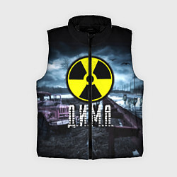Женский жилет S.T.A.L.K.E.R: Дима, цвет: 3D-черный