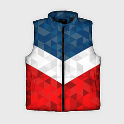 Женский жилет Форма России, цвет: 3D-черный