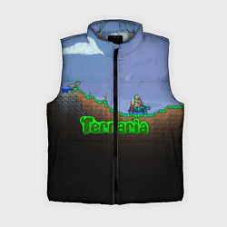 Женский жилет Terraria game, цвет: 3D-светло-серый