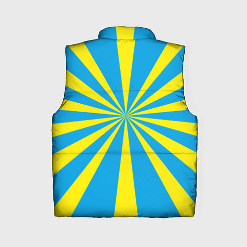 Женский жилет ВВС России / 3D-Красный – фото 2