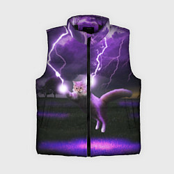 Женский жилет Кот и Молнии, цвет: 3D-черный