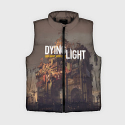 Женский жилет DYING LIGHT спина Z, цвет: 3D-черный