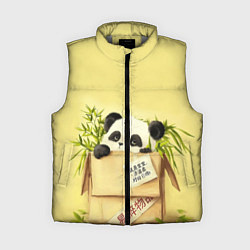 Женский жилет Заказывали Панду? ?, цвет: 3D-светло-серый