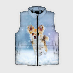 Женский жилет Чихуахуа в снегу
