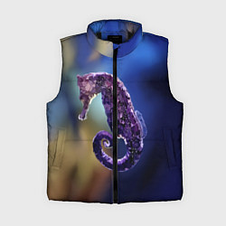 Женский жилет Морской конёк