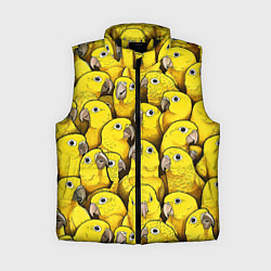 Женский жилет Попугаи