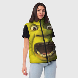Женский жилет Shrek is Yelling, цвет: 3D-светло-серый — фото 2