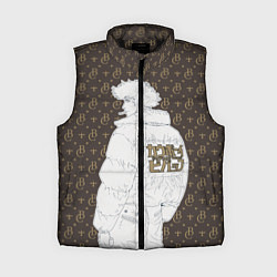 Женский жилет Cowboy Bebop Louis Vuitton, цвет: 3D-черный