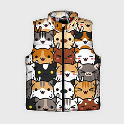 Женский жилет Коты и котики, цвет: 3D-красный