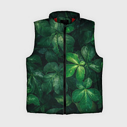 Женский жилет Тропическая листва Тропики Z, цвет: 3D-красный