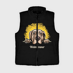 Женский жилет Веймаранер Weimaraner