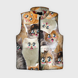 Женский жилет Много кошек с большими анимэ глазами, цвет: 3D-красный