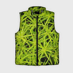 Женский жилет Сфагнум