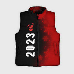 Женский жилет 2023 Кролик суровый: по-вертикали, цвет: 3D-черный