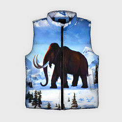 Женский жилет Мамонт ледникового периода, цвет: 3D-черный