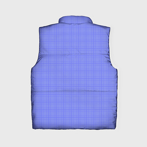 Женский жилет Умеренный аспидно-синий клетчатый / 3D-Светло-серый – фото 2