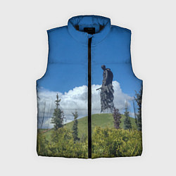 Женский жилет Мемориал Советскому Солдату во Ржеве, цвет: 3D-черный