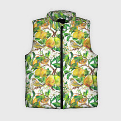 Женский жилет Груша и птичка зеленушка, цвет: 3D-светло-серый