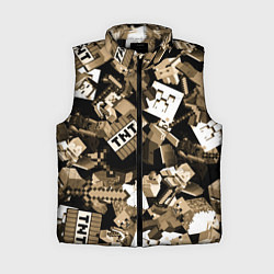 Женский жилет Герои вселенной Майнкрафт, цвет: 3D-черный