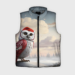 Женский жилет Сова на фоне зимнего леса, цвет: 3D-светло-серый