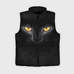 Женский жилет Черная кошка
