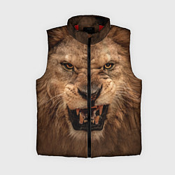 Женский жилет Взгляд льва