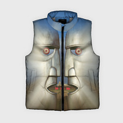 Женский жилет Pink Floyd The division bell