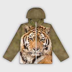 Ветровка с капюшоном женская Милый тигр, цвет: 3D-белый