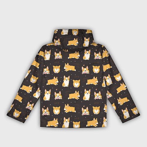 Женская ветровка Вельш корги бемброк - забавные щенки паттерн / 3D-Черный – фото 2