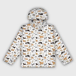 Ветровка с капюшоном женская Узор собаки много, цвет: 3D-белый