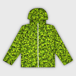 Женская ветровка Хмель