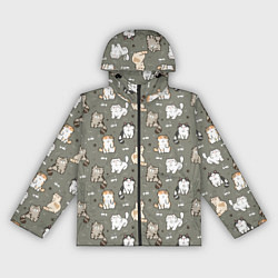 Ветровка с капюшоном женская Кошечки с рыбками, цвет: 3D-черный