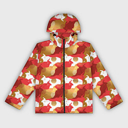 Ветровка с капюшоном женская Быки Bulls, цвет: 3D-черный