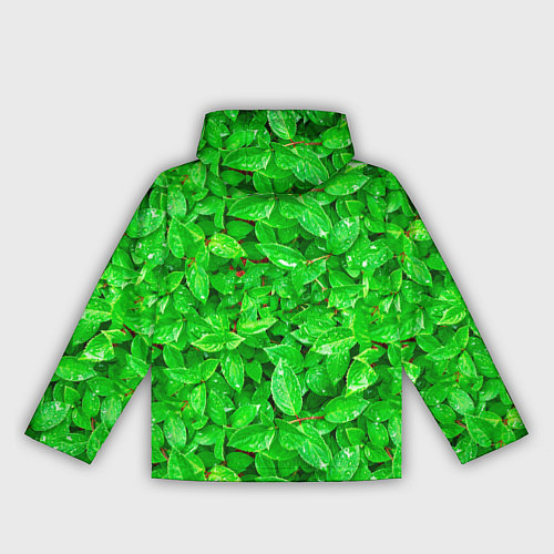 Женская ветровка Зелёные листья - текстура / 3D-Черный – фото 2