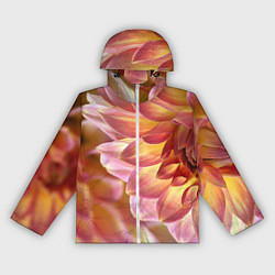 Женская ветровка Оранжевые георгины лепестки