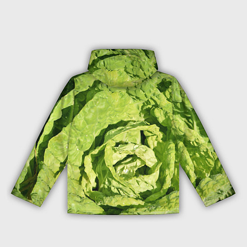 Женская ветровка Свежая капуста / 3D-Черный – фото 2