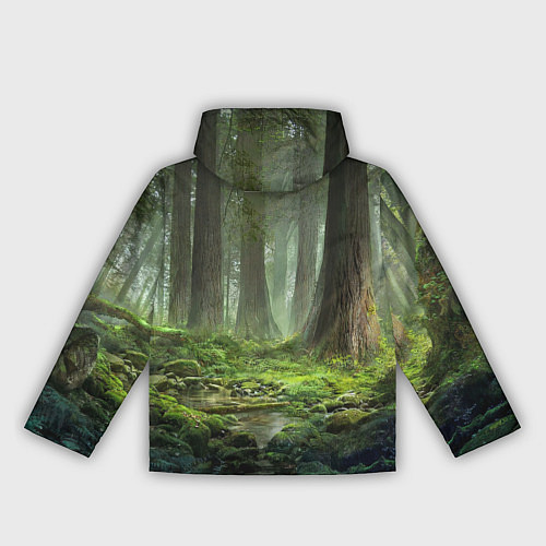 Женская ветровка Мудрое Таинственное Дерево / 3D-Черный – фото 2