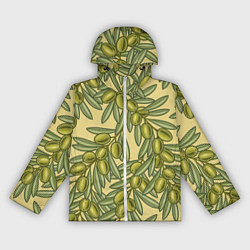 Женская ветровка Винтажные ветви оливок