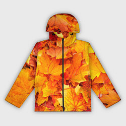 Ветровка с капюшоном женская Осень - клиновые листья, цвет: 3D-черный
