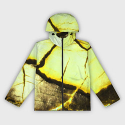 Ветровка с капюшоном женская Трещины на абстрактном жёлтом фоне, цвет: 3D-черный