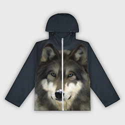 Ветровка с капюшоном женская Зимний волк, цвет: 3D-белый